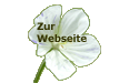 Zur Webseite bitte hier klicken