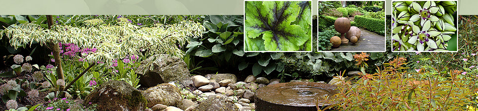 Grüner Garten